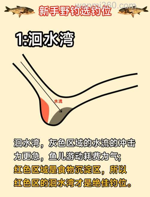水库怎么找鲫鱼窝子?