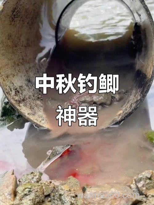 中秋钓鲫鱼饵料?