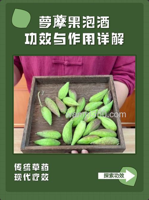 莲蘽果实如何泡酒?