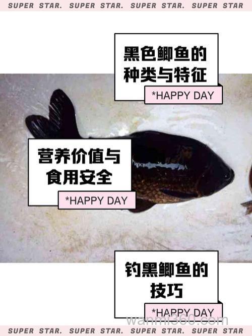 在夜晚时钓获黑鱼有关黑鱼的这些知识,你一定要知道