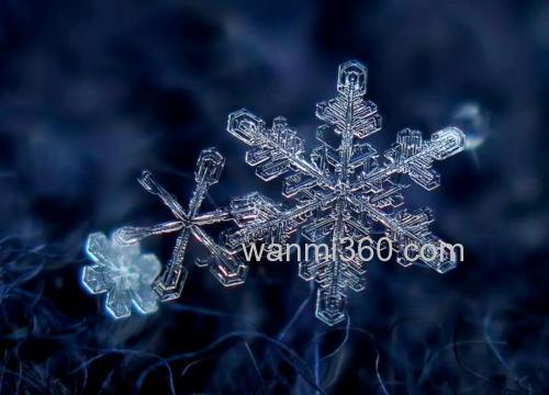 正规的雪花有几片花瓣？
