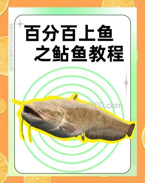 鲶鱼怎么找?