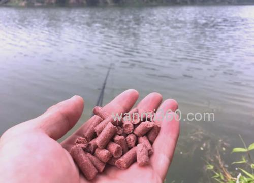 野钓鲤鱼用什么打窝,在哪里打窝
