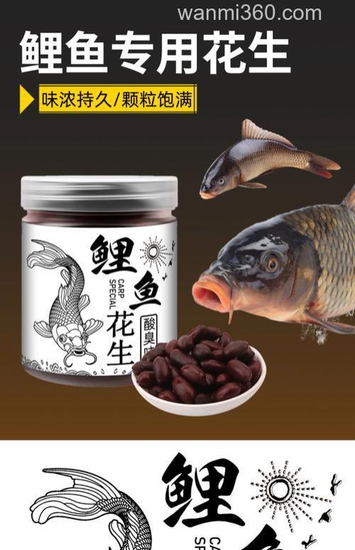 冬天钓黑坑鲤鱼用什么饵料效果最好