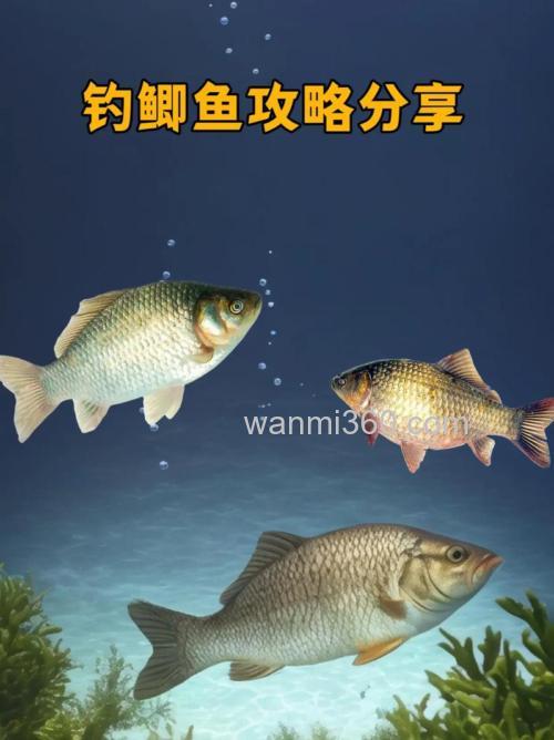 小鲫鱼容易钓吗,如何钓小鲫鱼