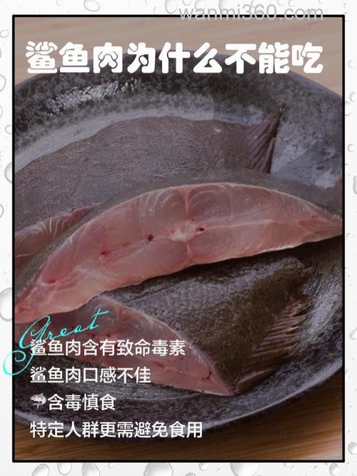 鱼吃生猪肉吗?