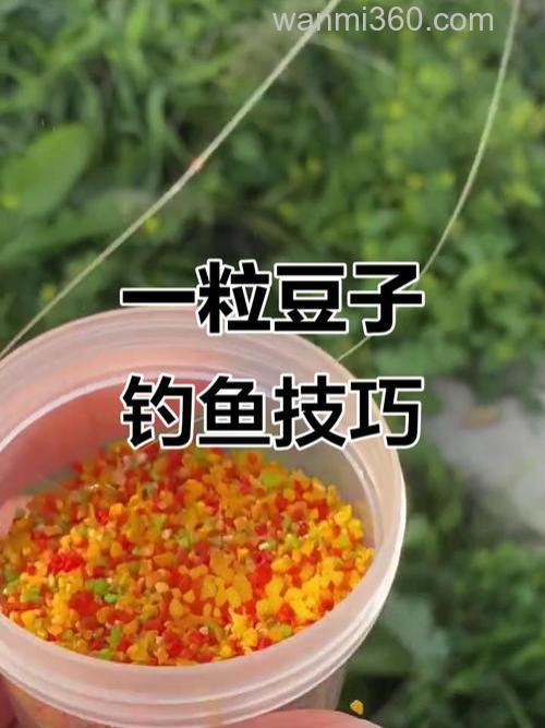 黄豆芽钓鲤鱼的方法？