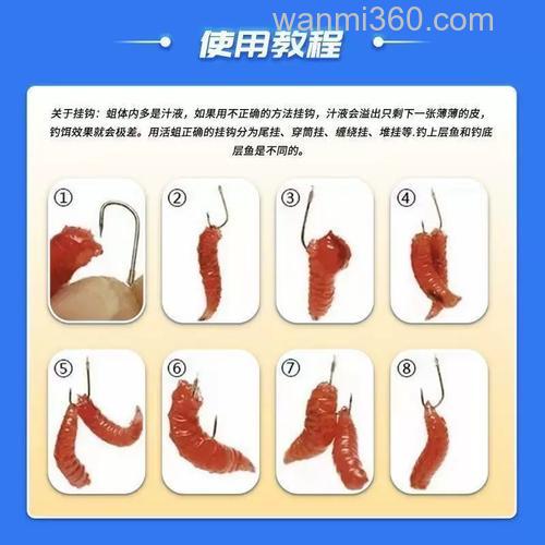 钓鱼线虫怎么用