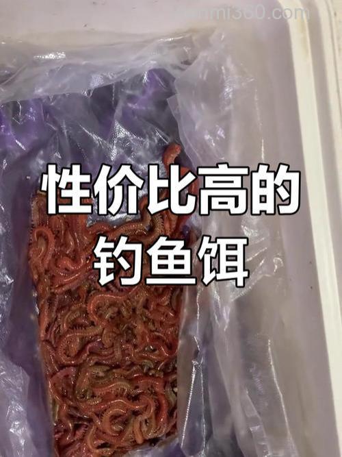 海钓能用哪几种饵料？