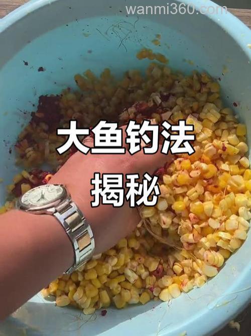 玉米酒糟养鱼技术方法?