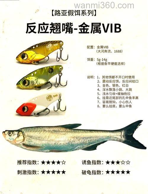 钓鱼大师们都说说你们都用些什么鱼饵?