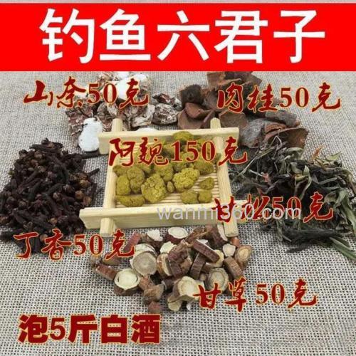 阿巍怎样泡酒钓魚