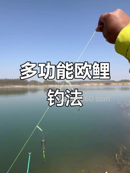海竿流水钓鲤鱼的正确方法?