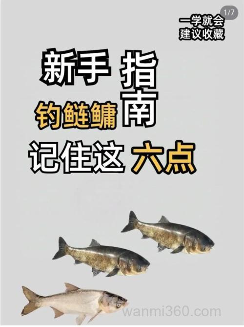早春鲢鳙其实很好钓,只要掌握几个关键点