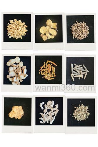 钓鱼用什么中药材泡洒米