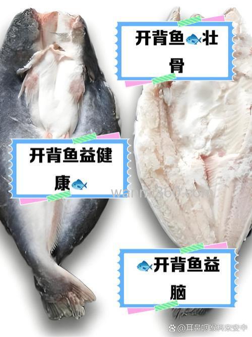 开背鱼能放酸菜吗?