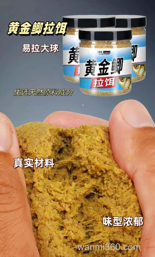 大师讲钓黄金鲫技巧与饵料?