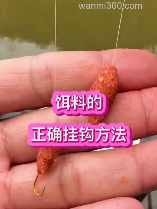 秋季用串钩挂什么饵钓鲤鱼?