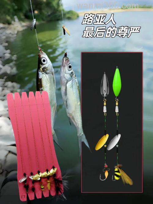 竞技瓜子鲫钓法?