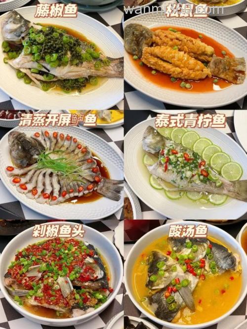 如何让鱼吃食