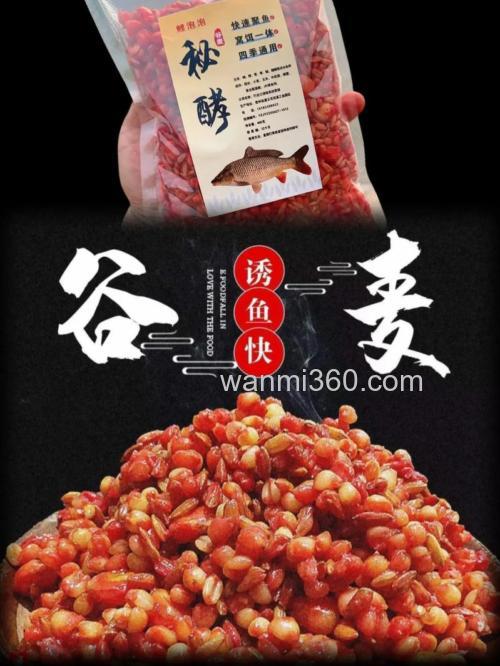 钓鲤鱼饵料配方谷麦