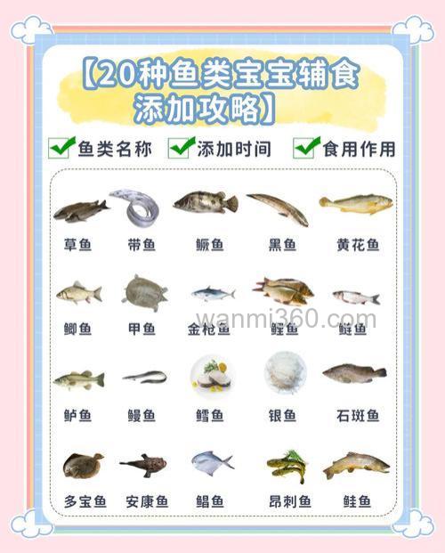 鲤鱼吃什么食物