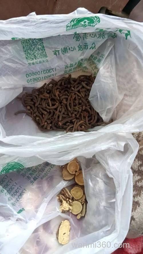 山奈丁香甘草制作钓鱼的药酒能妈