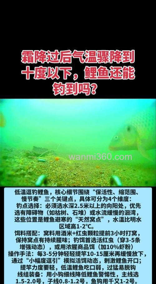霜降了还下雨温差大怎么钓鱼?求鱼饵配方及钓点!