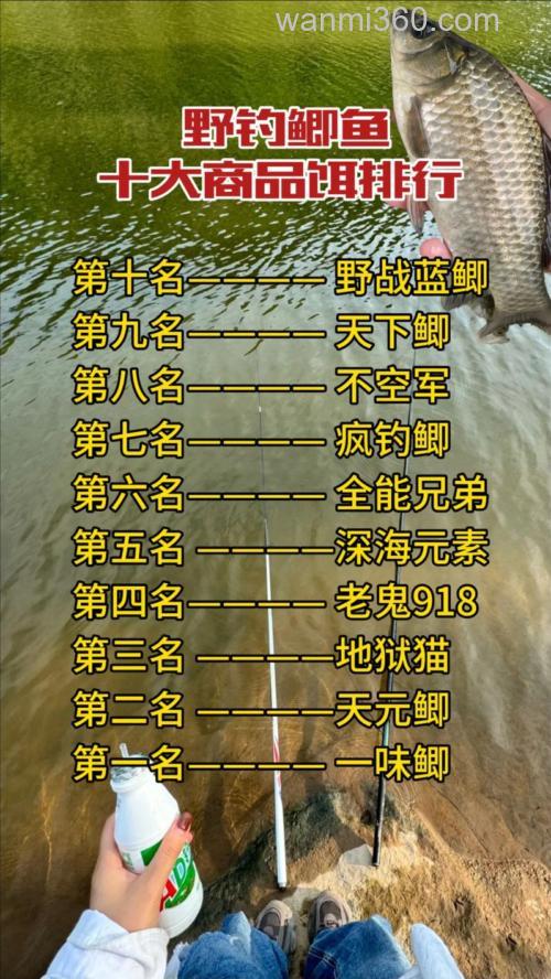 10度野钓鲫鱼鲤鱼用什么饵？