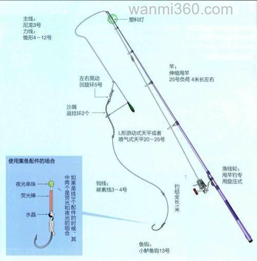 海钓河鳗技巧全攻略:装备选择、钓点判断与操作手法详解
