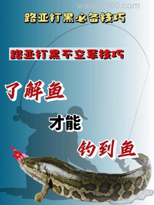 解析路亚钓黑鱼的四大入门技巧
