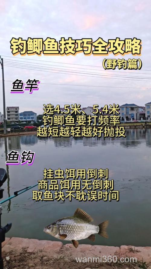 秋季野钓鲫鱼选位与用饵思路