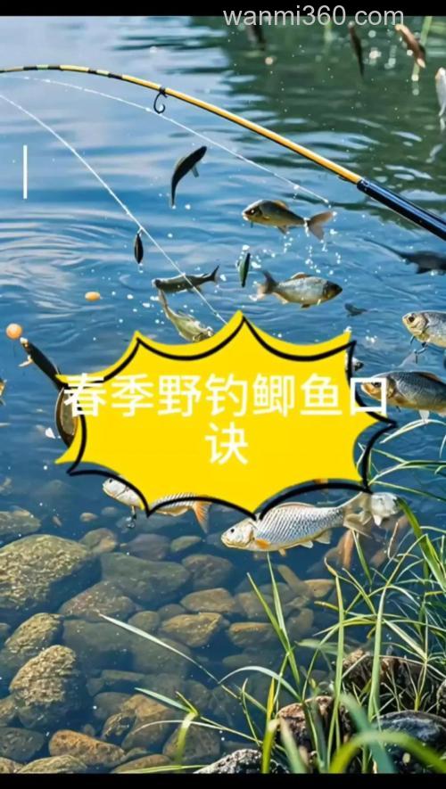 仲春野钓鲫鱼技巧:浅滩水草钓点选择与腥香饵料使用指南