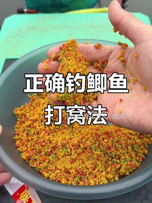 钓鲫鱼鲤鱼用什么打窝最好