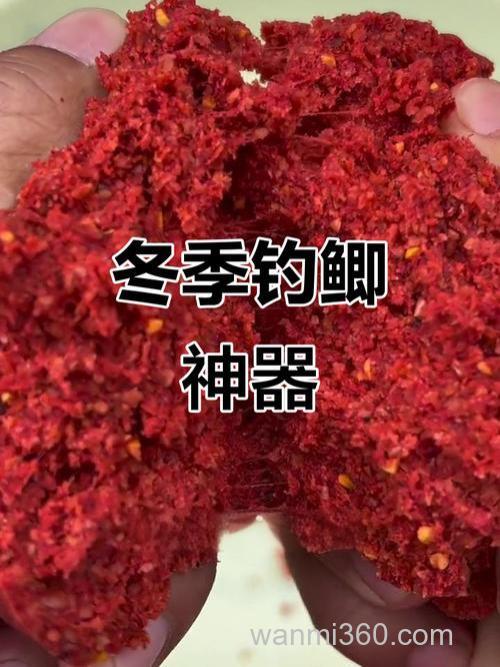 冬季钓鱼最好鱼饵钓鲫鱼