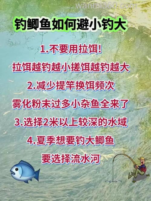 广东怎么避开罗飞钓鲫鱼？