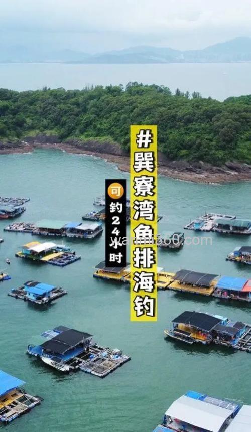 惠州海钓攻略:如何选择钓点?大亚湾、巽寮湾礁区探秘