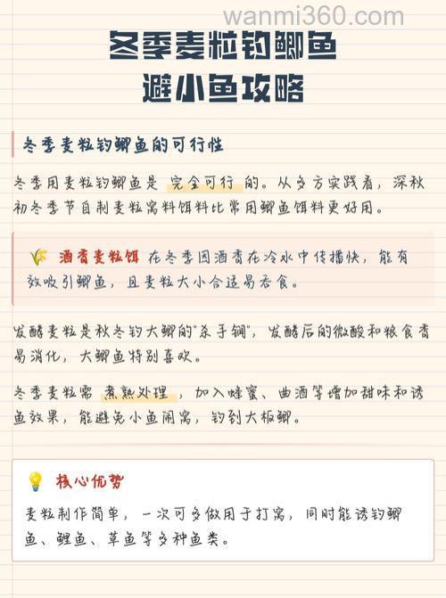 麦粒打孔钓鲤鱼绝招？