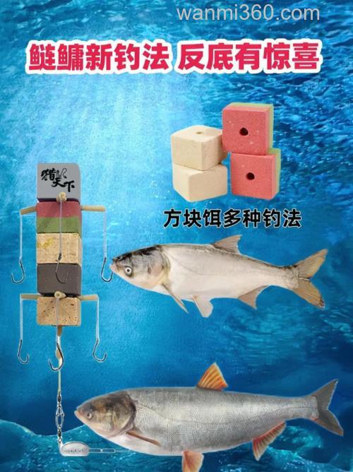 夏季手竿钓鲢鳙,为何你的鲢鳙饵总是一抛就掉,问题就出在这!