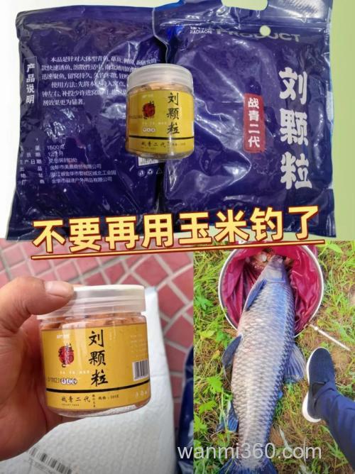 钓青鱼用什么饵最好?