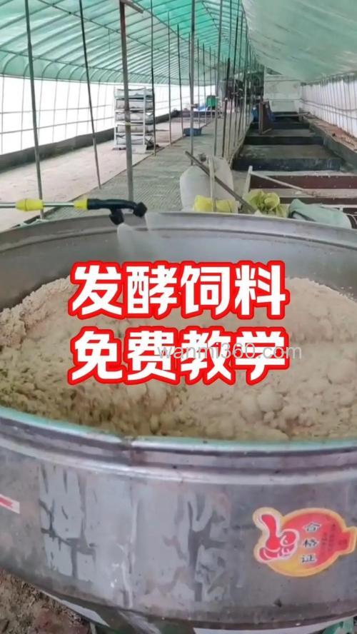 发酵饵料的制作方法?