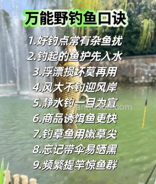 那位钓友能把钓鱼的经验分享与我,谢谢