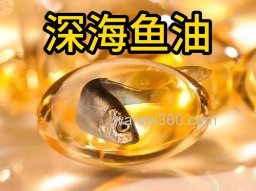 鲤鱼油是什么样子？