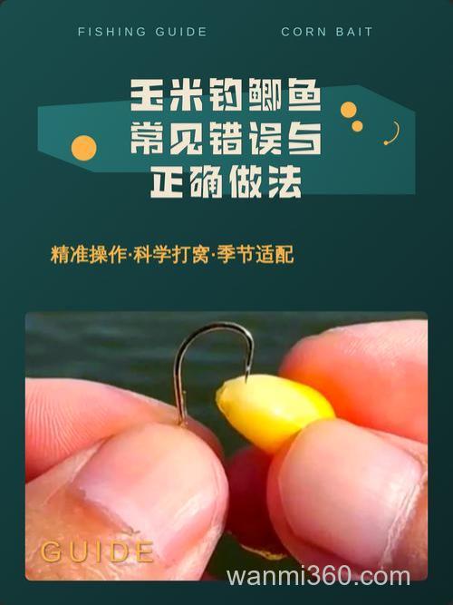 如何用玉米钓鲫鱼?
