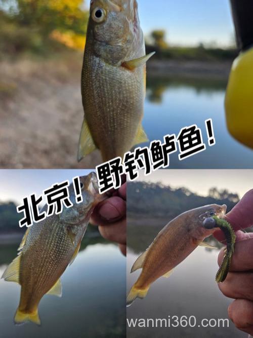 北京怀柔野钓十大排名?