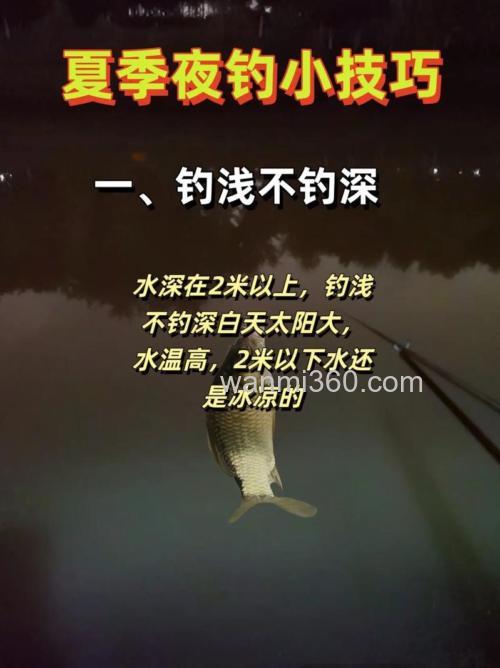 夏季夜钓台钓的乐趣与技巧,这些装备你准备好了吗?