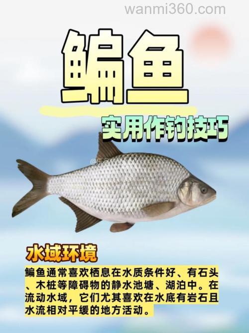 夜钓鳊鱼好成果,这些钓鳊鱼的知识要牢记