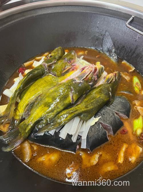 炖白鲢正宗做法王刚?