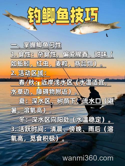 关于台钓鲫鱼你需要要了解的知识