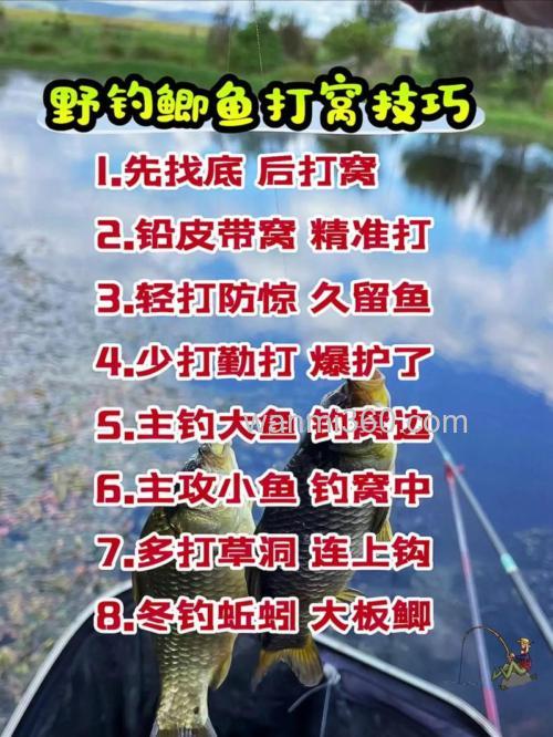 春季野钓鲫鱼选位技巧与打窝技巧